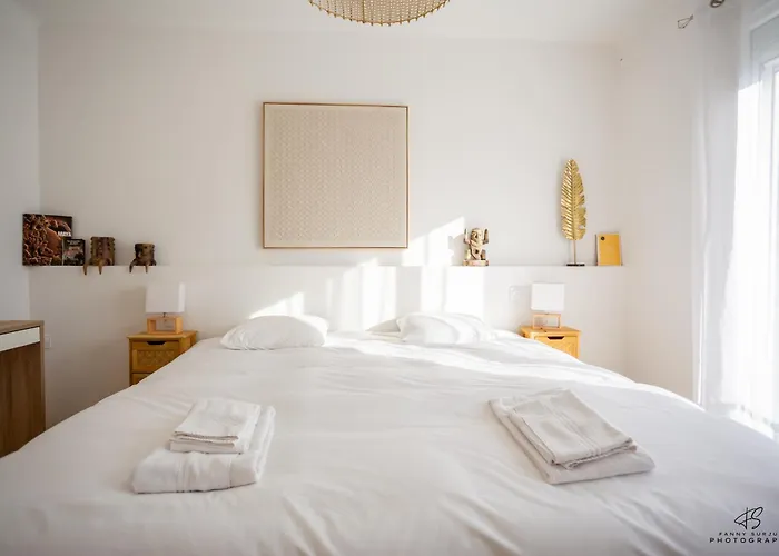 Zen Paradise - Near The Center - Garden Perpignan